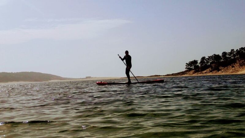 Lisbon: Stand Up Paddle Adventure at Albufeira Lagoon - Wildlife and Nature Learning Opportunities