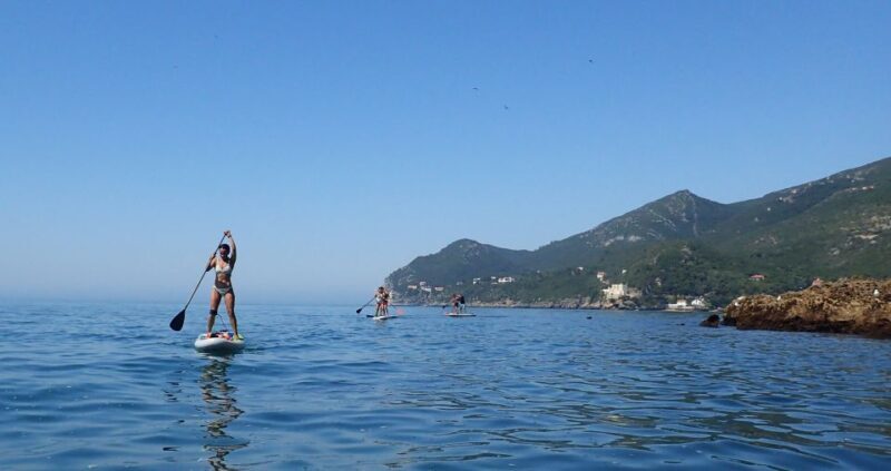 Lisbon: Stand Up Paddle Lesson in Arrábida, Setubal,Sesimbra - Key Points