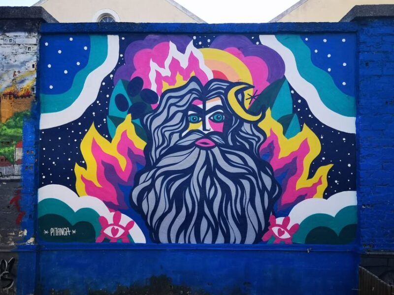 Lisbon: Street Art Tuk Tuk Tour - Who is This Tour Best For?