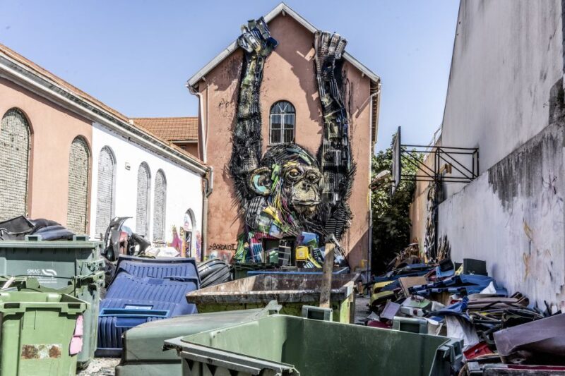 Lisbon: Street Art TukTuk Tour - Is It Worth the Price?