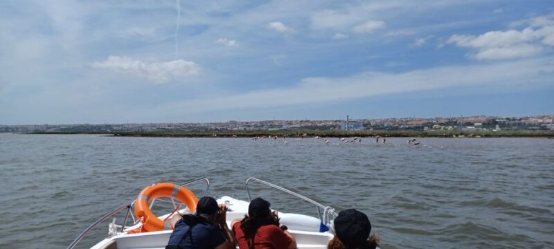 Lisbon: Tagus Estuary Nature Reserve Birdwatching Boat Tour - Who Would Love This Tour?