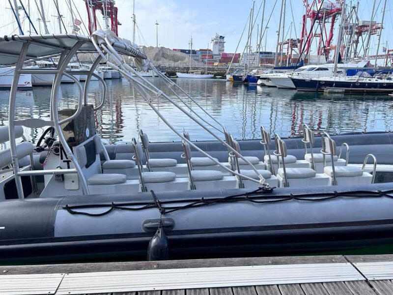 Lisbon: Tagus River Marine Wildlife Speedboating Adventure - Who Will Love This Tour?