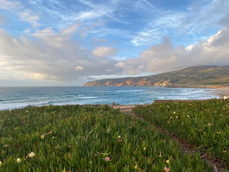 Lisbon to: Sintra, Pena & Regaleira guided 8pax group tour - Exploring Sintra’s Most Famous Highlights