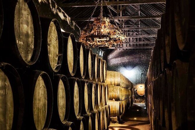 Lisbon Tour to Setúbal, Mountains and Sea, with Wine Tasting - Final Thoughts