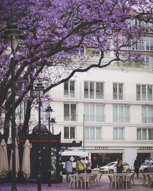 Lisbon: Tuk Tuk Tour of Belém Historic Area - Final Thoughts: Is It Worth It?