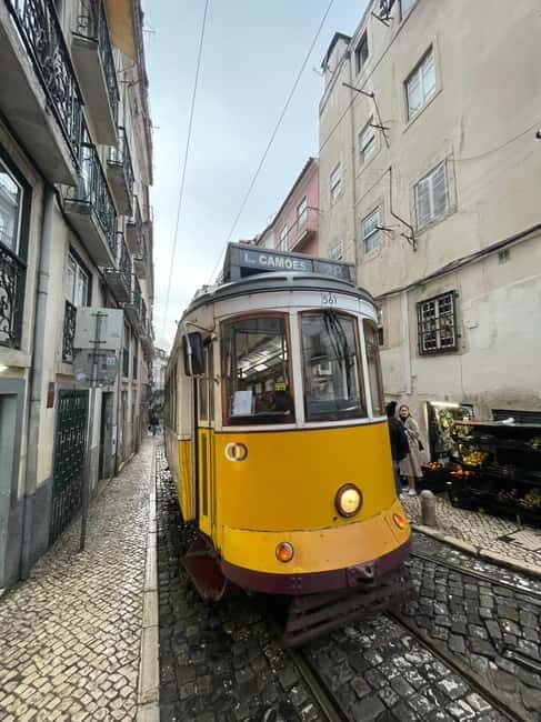 Lisbon: Walking Tour with Historic Tram 28 Ride & Tastings - The Sum Up