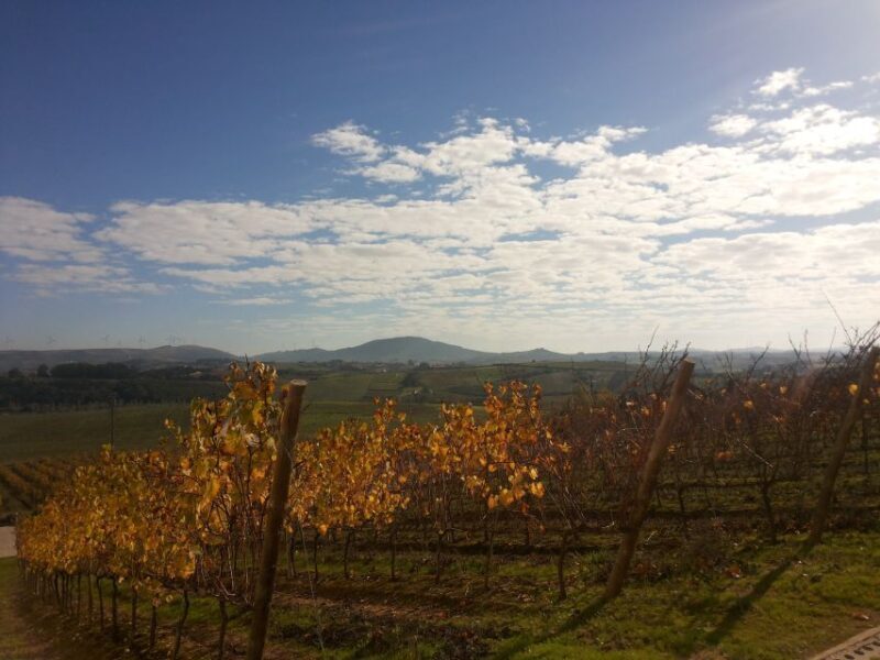 Lisbon Wine Tasting Private Tour - FAQ: Practical Questions About the Tour