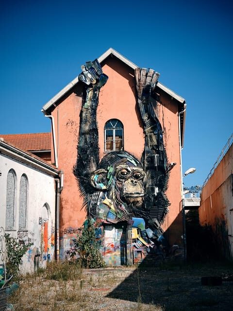 Lisbon with Tukxi: Street Art Lovers by Tuktuk - Authentic Guest Insights & Personal Touches