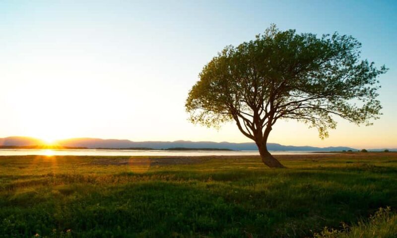 L'Isle-aux-Grues: Secret Islands of St. Lawrence Expedition - Why This Tour Stands Out