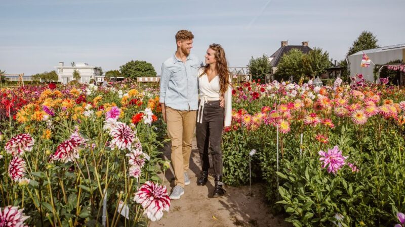 Lisse: Drive-it-Yourself Summer Flower GPS Audio Tour - Key Points