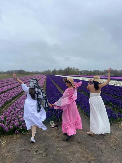 Lisse: Private Tulip Fields Tour with a Local Guide 1h Tour - Key Points