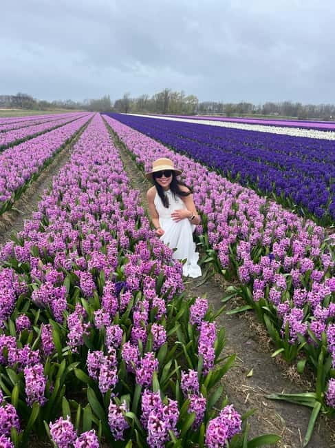 Lisse: Private Tulip Fields Tour with a Local Guide 1h Tour - An In-Depth Look at the Tulip Fields Tour