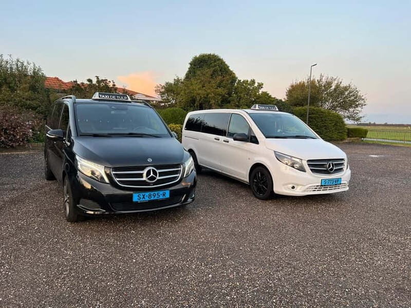 Lisse: Private Tulip Fields Tour with a Local Guide 1h Tour - Why This Tour Is Worth It