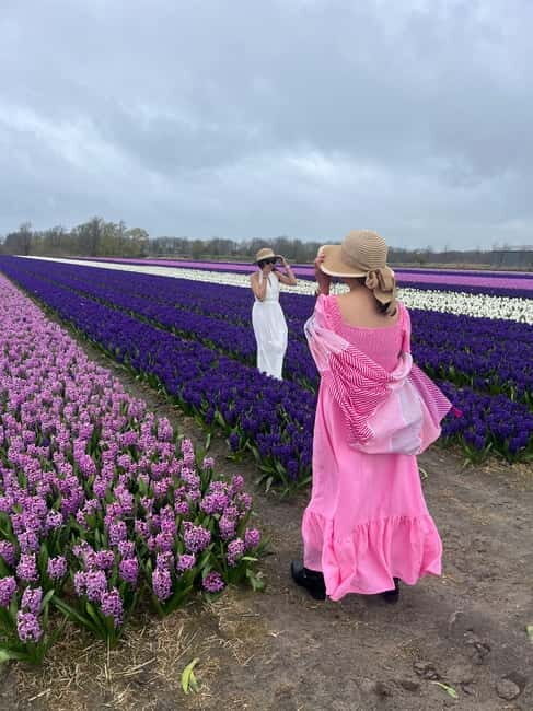 Lisse: Private Tulip Fields Tour with a Local Guide 1h Tour - Who Should Consider This Tour?