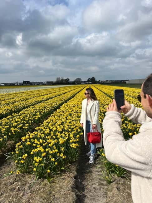 Lisse: Private Tulip Fields Tour with a Local Guide 1h Tour - FAQs