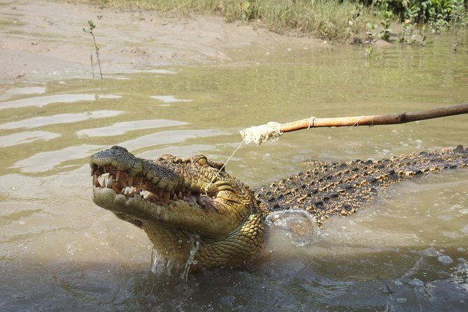 Litchfield and Jumping Crocodiles Full Day Trip from Darwin - An In-Depth Look at the Tour Experience
