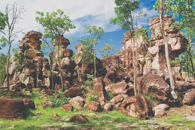 Litchfield Day Tour Classic - Key Points