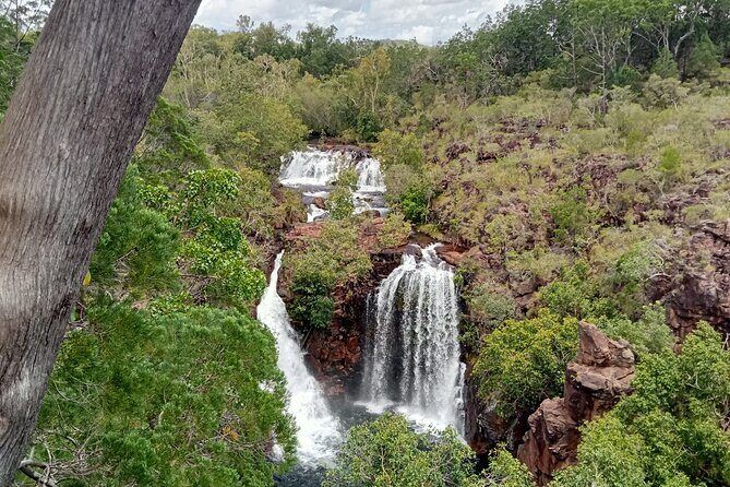 Litchfield Day Tour Classic - Who Should Consider This Tour?