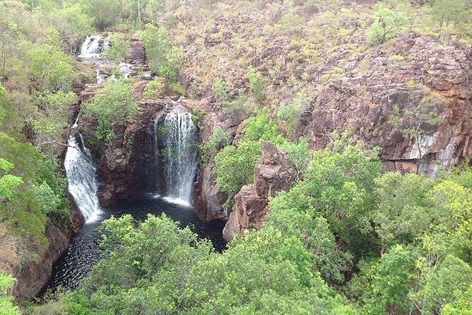 Litchfield National Park and Jumping Crocodile Cruise - An In-Depth Look at the Tour Itinerary
