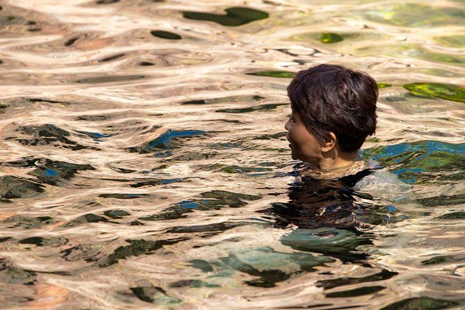 Litchfield National Park Day Tour from Darwin - Final Thoughts: Is It Worth It?