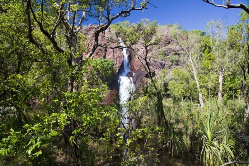 Litchfield National Park: Full-Day & Lunch from Darwin - Who Will Love This Tour?