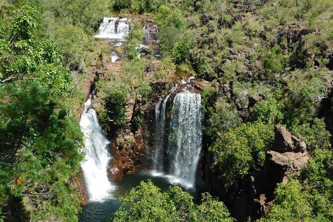 Litchfield Park & Jumping Crocodile Cruise - Unique Landmarks: Magnetic Termite Mounds
