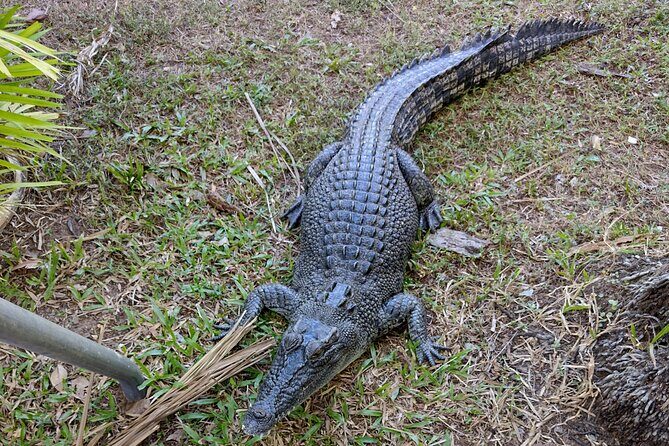 Litchfield Park & Jumping Crocodile Cruise - Scenic Drives and Short Breaks