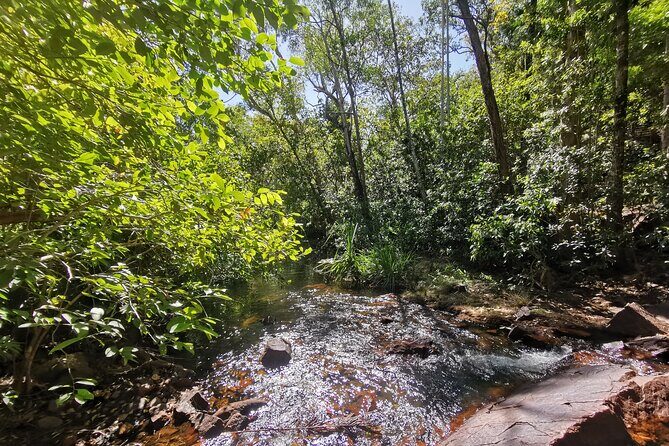 Litchfield Premium Day Tour, 10 guests only, lunch included - Real Experiences and Reviewer Insights