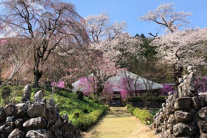 Little Adventure with Cycling in Tokyo No. 1 Crystal Clear River - The Sum Up: Is This Tour for You?