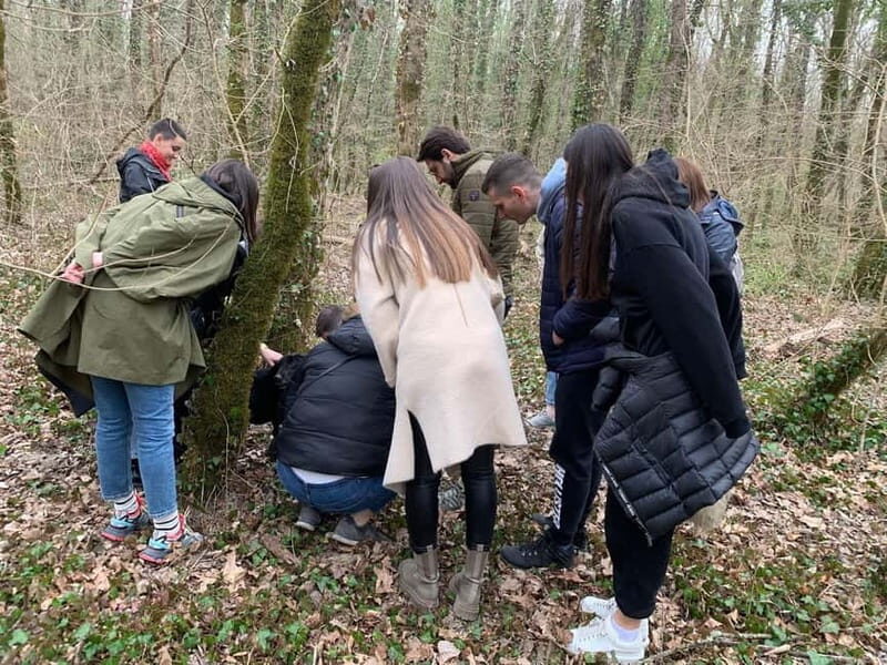 Livade: Guided Truffle Hunting Walking Tour - Key Points