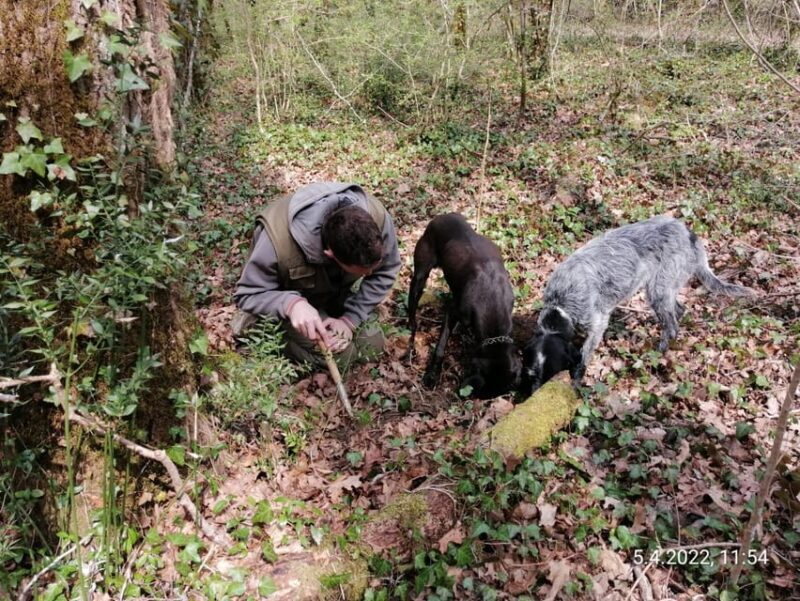 Livade: Guided Truffle Hunting Walking Tour - FAQ
