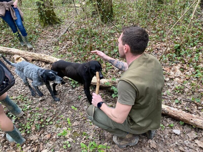 Livade: Guided Truffle Hunting Walking Tour - Final Thoughts