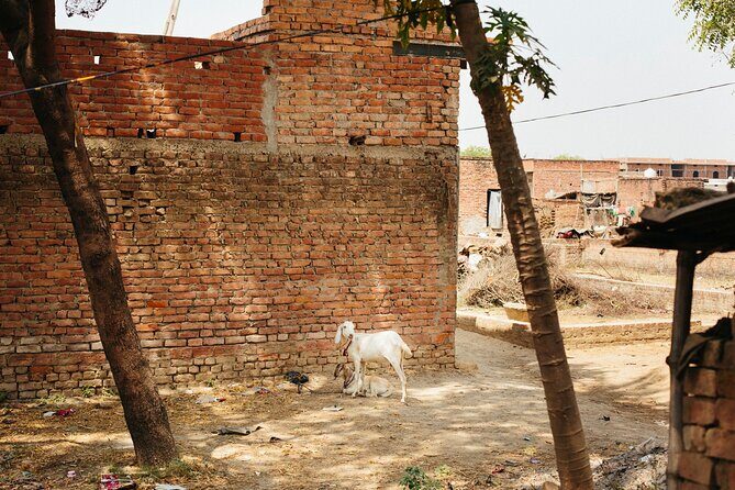 Live a round experience in Varanasi. 3 Days Tour - FAQs