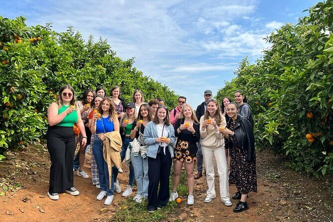 Live an Experience Among Orange Trees in Huerto Ribera - Key Points