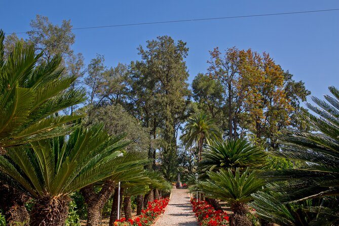 Live an Experience Among Orange Trees in Huerto Ribera - Final Thoughts