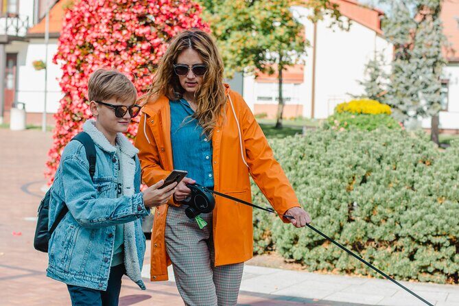 Live guide tour via WhatsApp - Vilnius Ghetto - Potential Drawbacks and Considerations