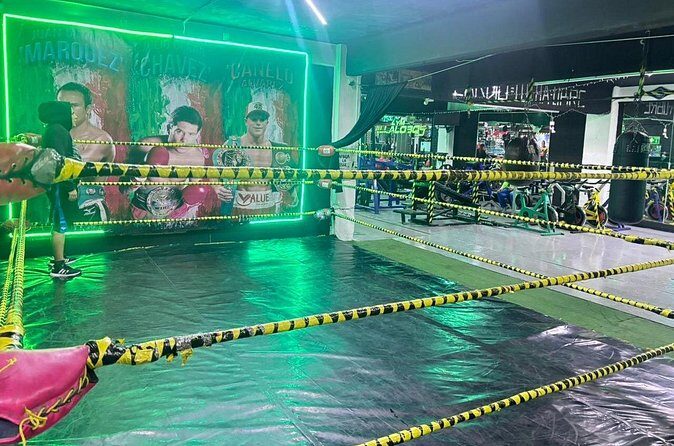 Live Lucha Libre and from the gym to the ring - Who Should Consider This Tour?