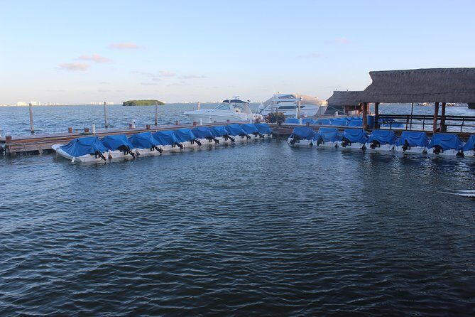 Live the experience of driving an Speedboat & Snorkel in CANCUN - The Sum Up