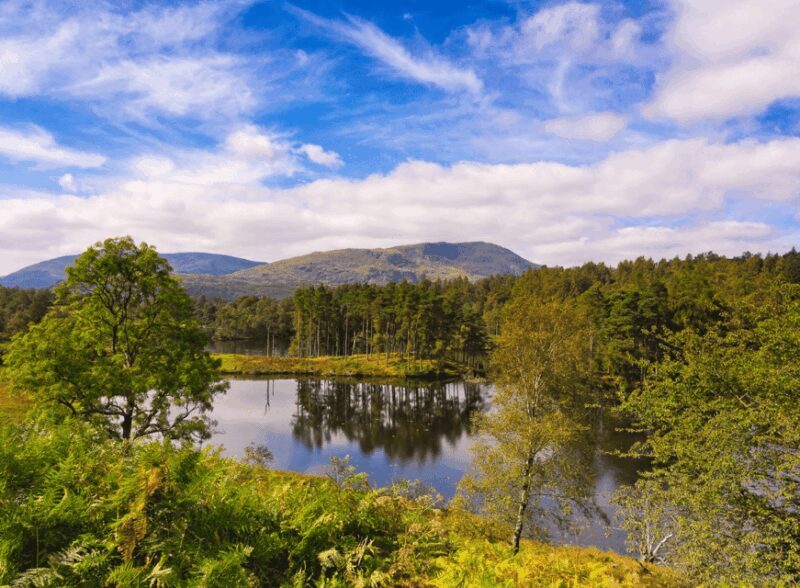 Liverpool: Lake District Tour with Lake Cruise & Train Ride - Tarn Hows: Serenity and Perfect Photo Opportunities