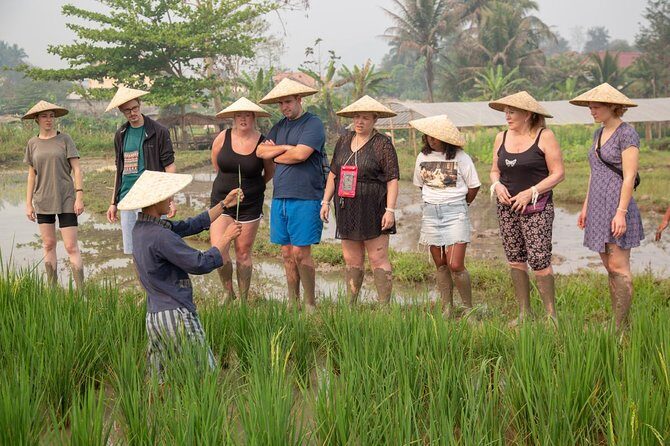 Living Land Rice Farming Experience - Final Thoughts: Is It Worth It?