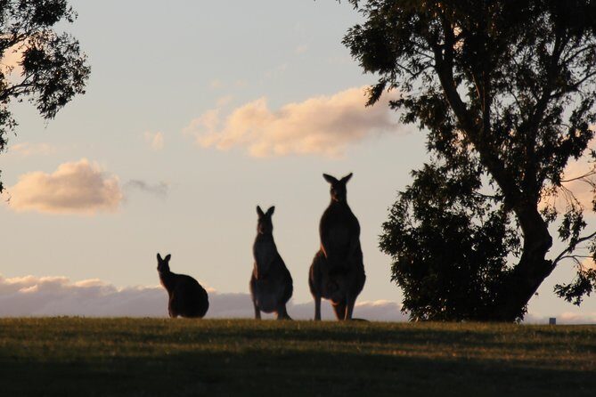 Living Legends Champion Racehorse Guided Tour - Key Points
