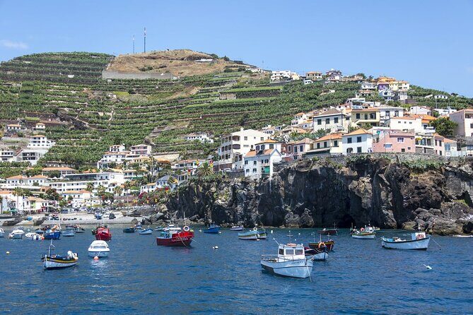 Living Sea Boat Trip in Madeira from Funchal - Practical Details and Value
