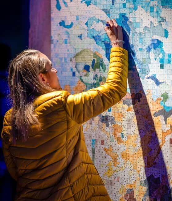 Living van Gogh The Immersive & Interactive Experience - The Sum Up