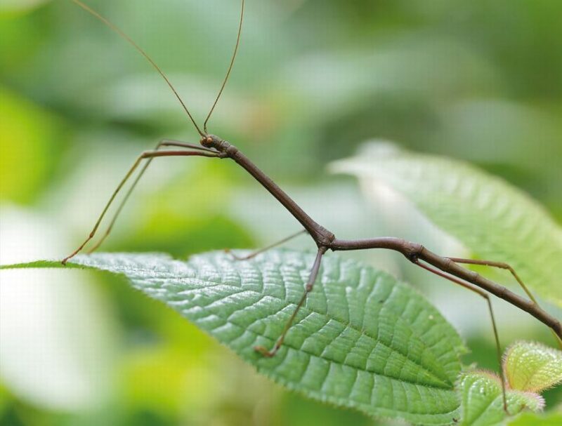 Livorno: Aquarium Entrance Ticket - Exploring the Livorno Aquarium: What to Expect