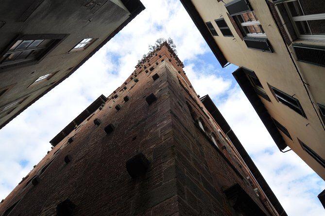 Livorno Private Shore Excursion of Pisa and Lucca - Key Points