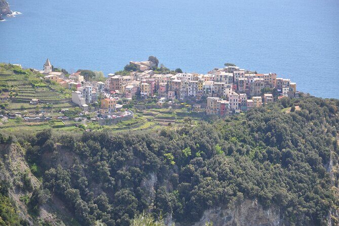 Livorno Private Shore Excursion to Portovenere and the Cinque Terre - Practical Details & Tips