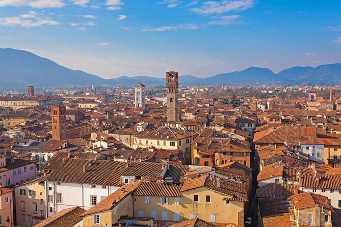 Livorno Shore Excursion: Pisa, Lucca and wine experience Private Day Trip - An In-Depth Look at the Tour Experience