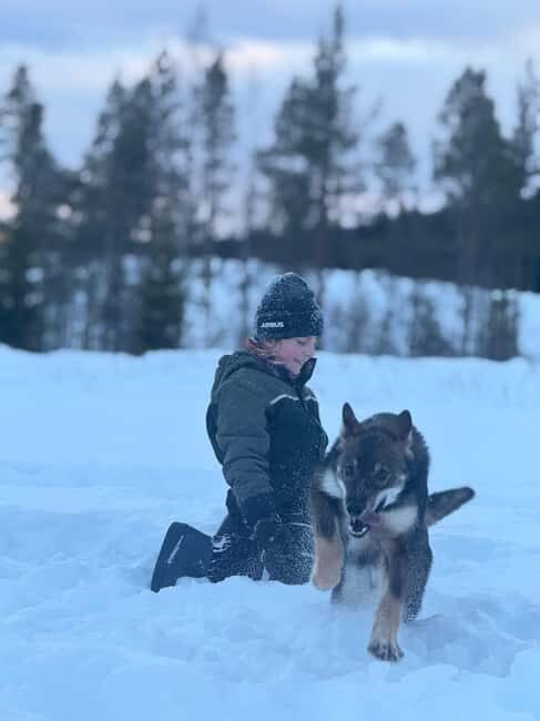 Ljørdalen-Trysil: Bergli Husky Kennel Visit - Final Thoughts: Is It Worth It?