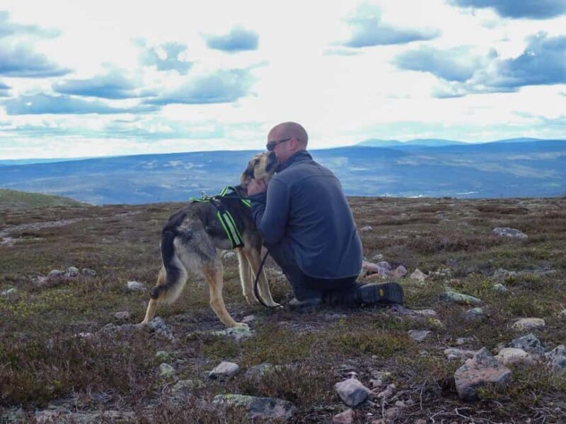 Ljørdalen - Trysil: Husky Hike with Campfire and lunch! - Introduction to the Husky Hike Experience
