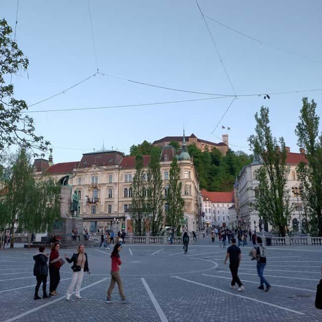 Ljubljana: Private Guided City Tour - Pricing and Value